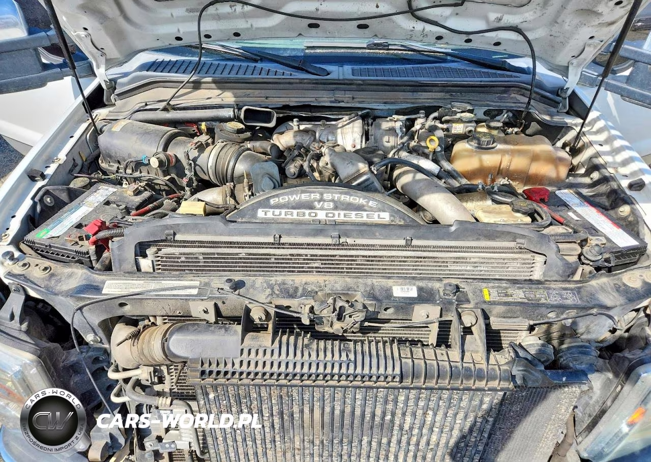 2009 Ford F350 Super Duty VIN:1FTWW31R69EA44821 - 11