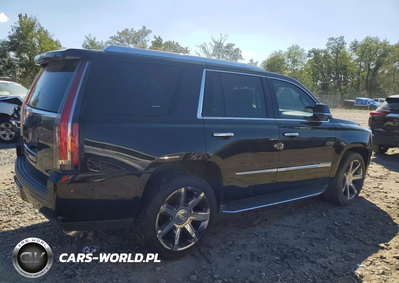 2016 Cadillac Escalade Luxury VIN:1GYS4BKJ2GR313145 - 3