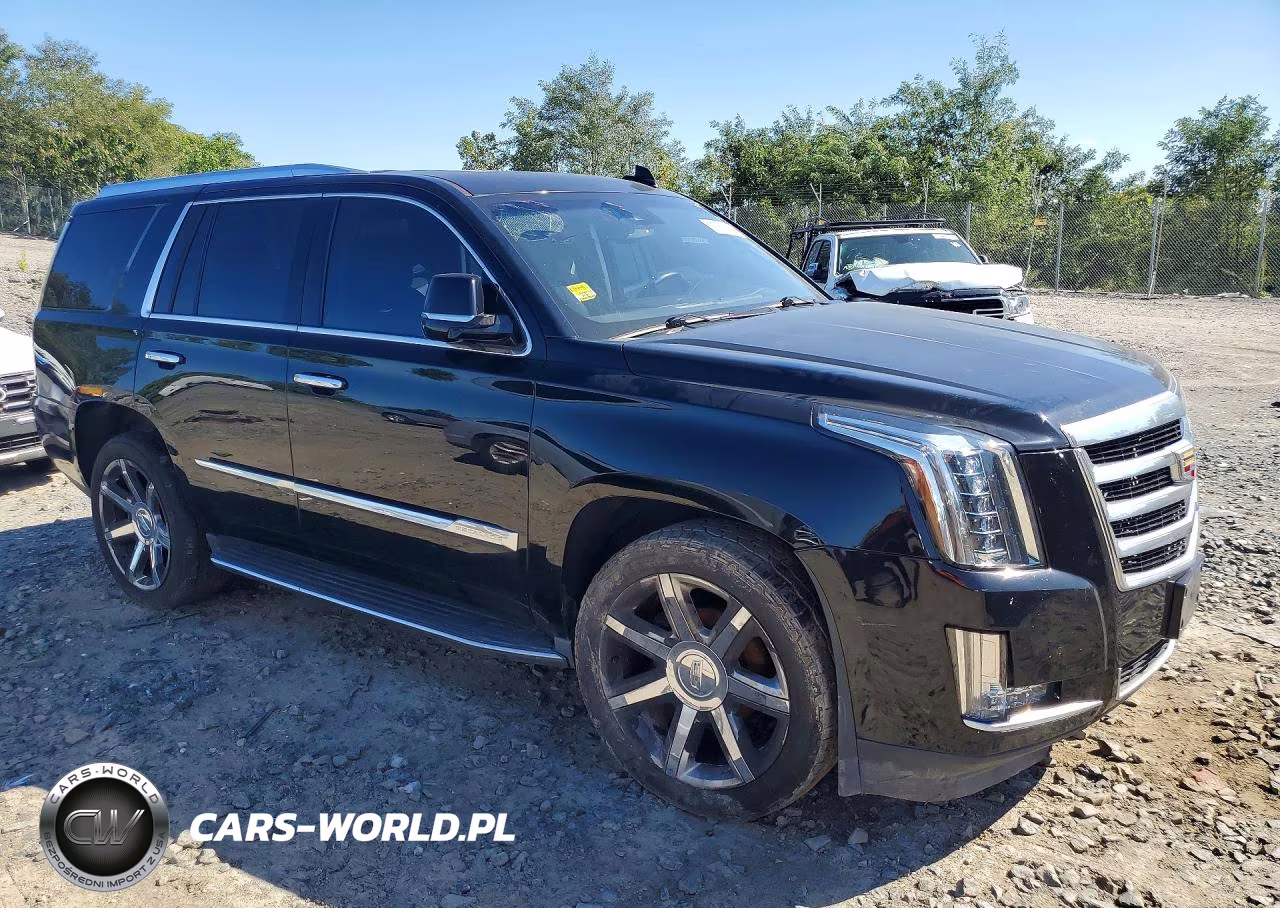2016 Cadillac Escalade Luxury VIN:1GYS4BKJ2GR313145 - 4