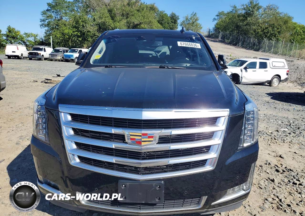 2016 Cadillac Escalade Luxury VIN:1GYS4BKJ2GR313145 - 5