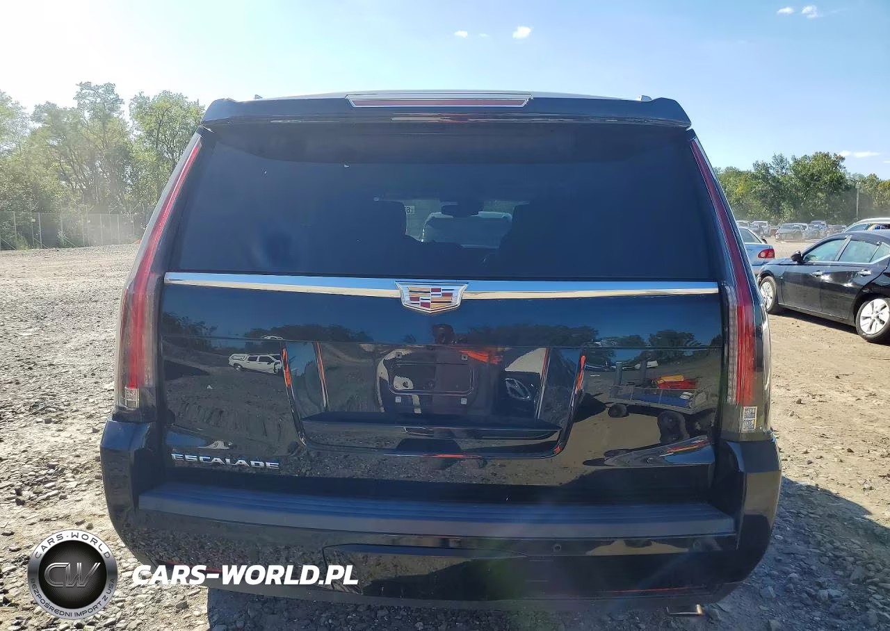 2016 Cadillac Escalade Luxury VIN:1GYS4BKJ2GR313145 - 6