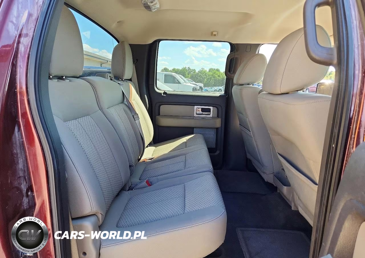 2010 Ford F150 Supercrew VIN:1FTFW1EV6AFC39053 - 10