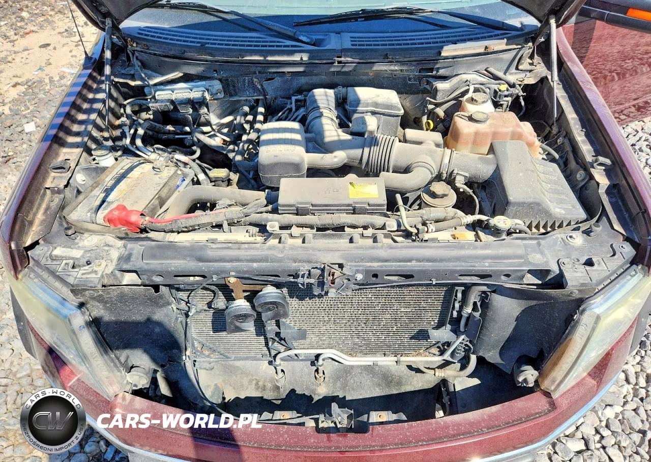 2010 Ford F150 Supercrew VIN:1FTFW1EV6AFC39053 - 11