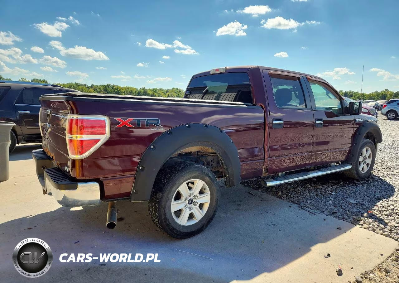2010 Ford F150 Supercrew VIN:1FTFW1EV6AFC39053 - 3