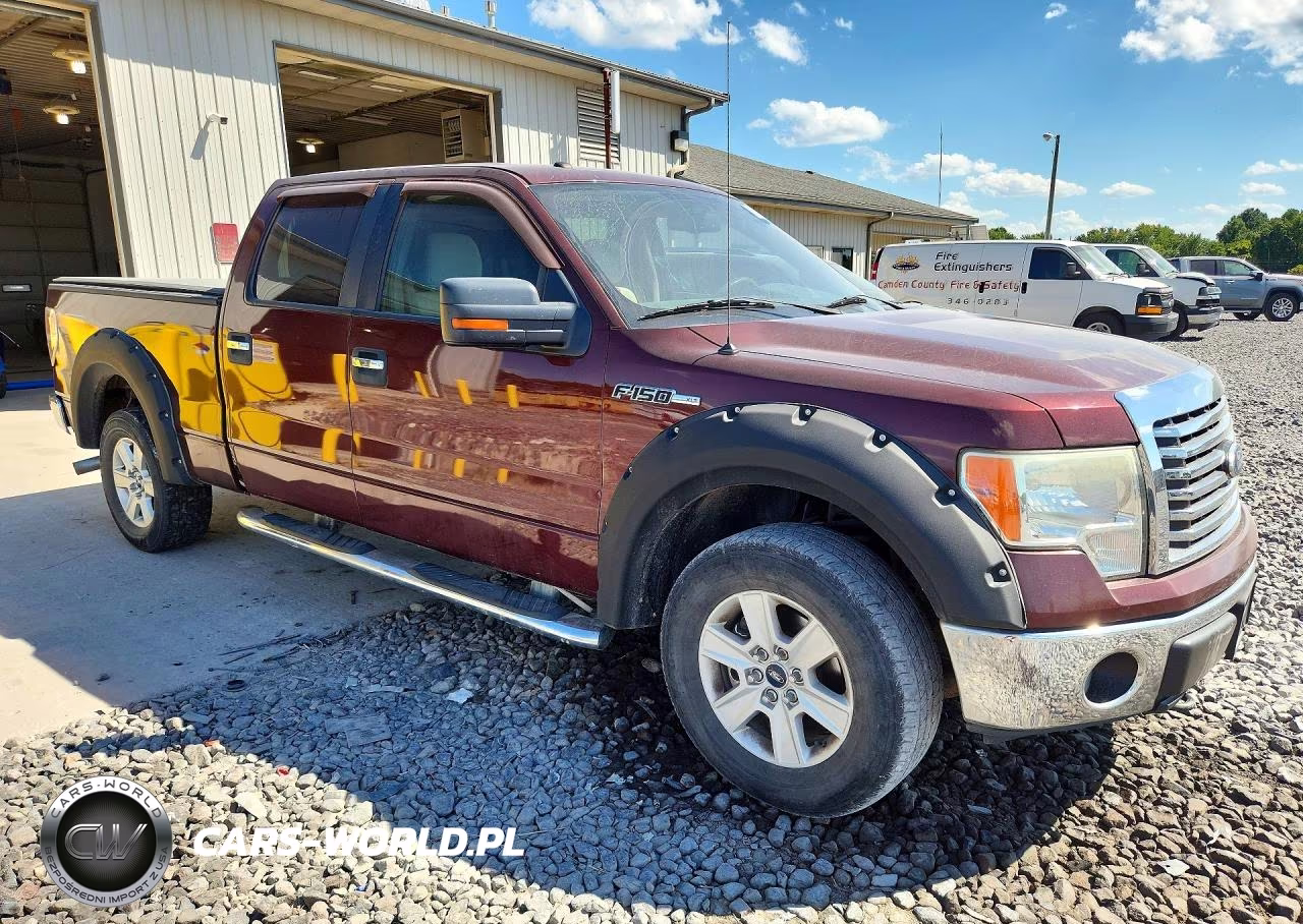 2010 Ford F150 Supercrew VIN:1FTFW1EV6AFC39053 - 4