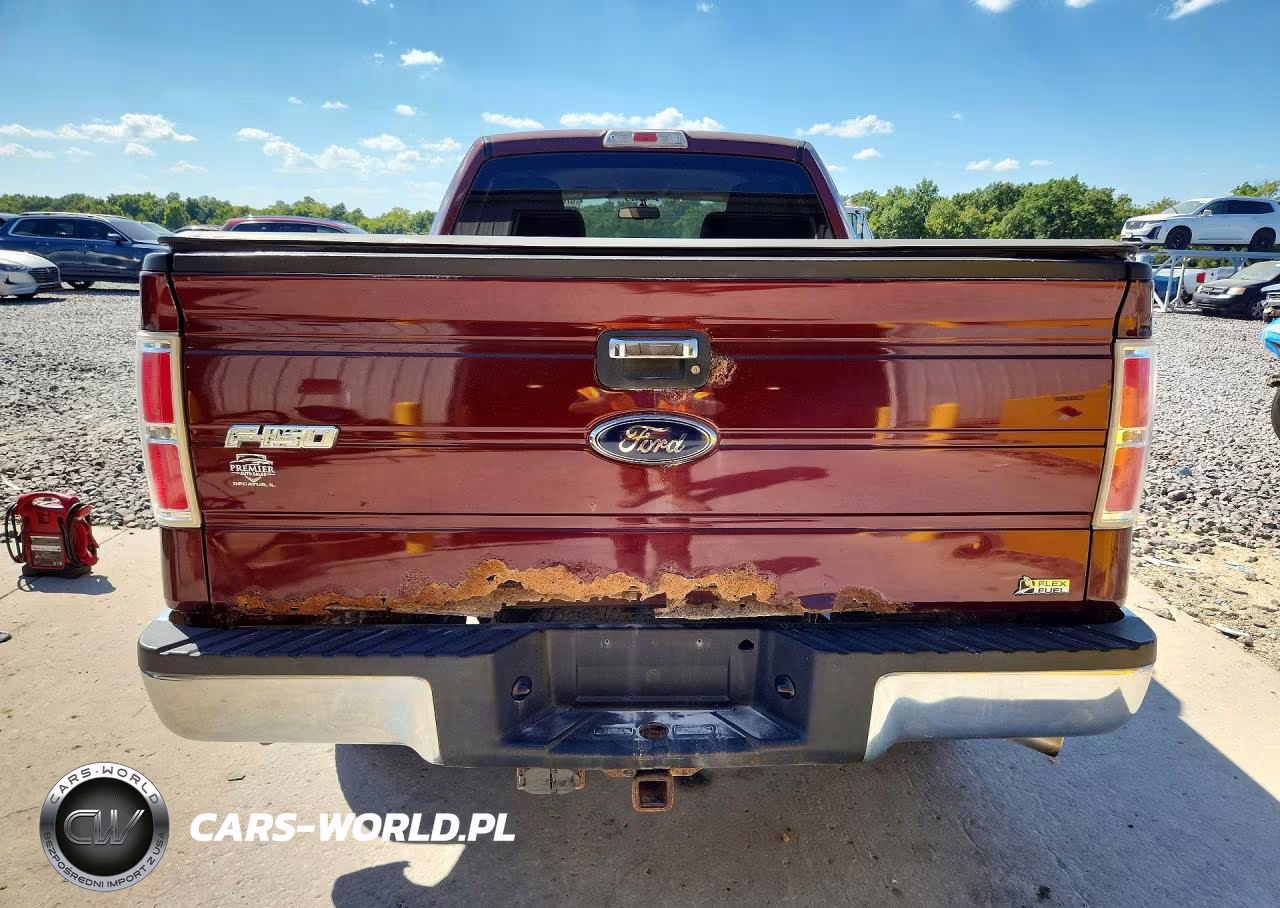 2010 Ford F150 Supercrew VIN:1FTFW1EV6AFC39053 - 6