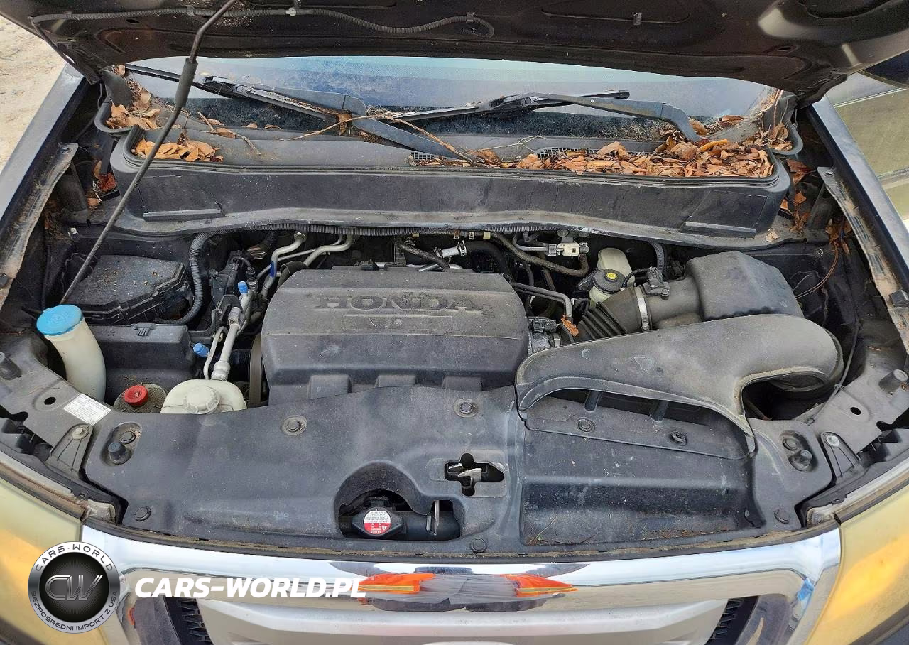 2010 Honda Pilot Exl VIN:5FNYF3H52AB020188 - 12