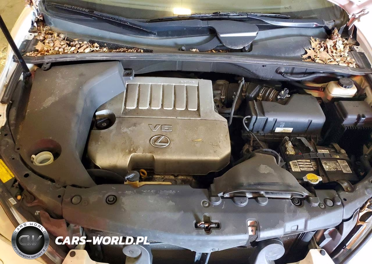 2009 Lexus Rx 350 VIN:2T2GK31U49C060101 - 12