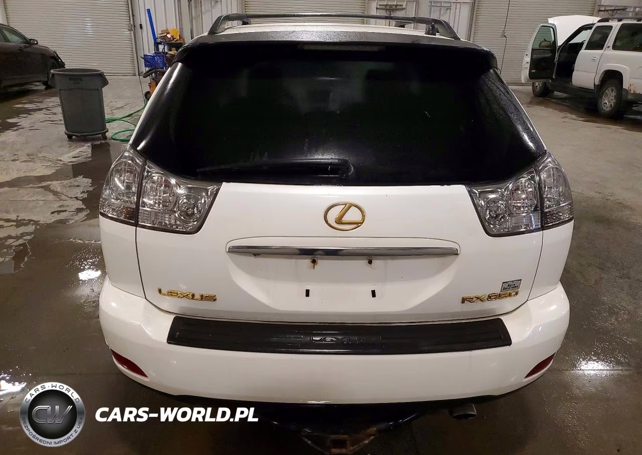 2009 Lexus Rx 350 VIN:2T2GK31U49C060101 - 6