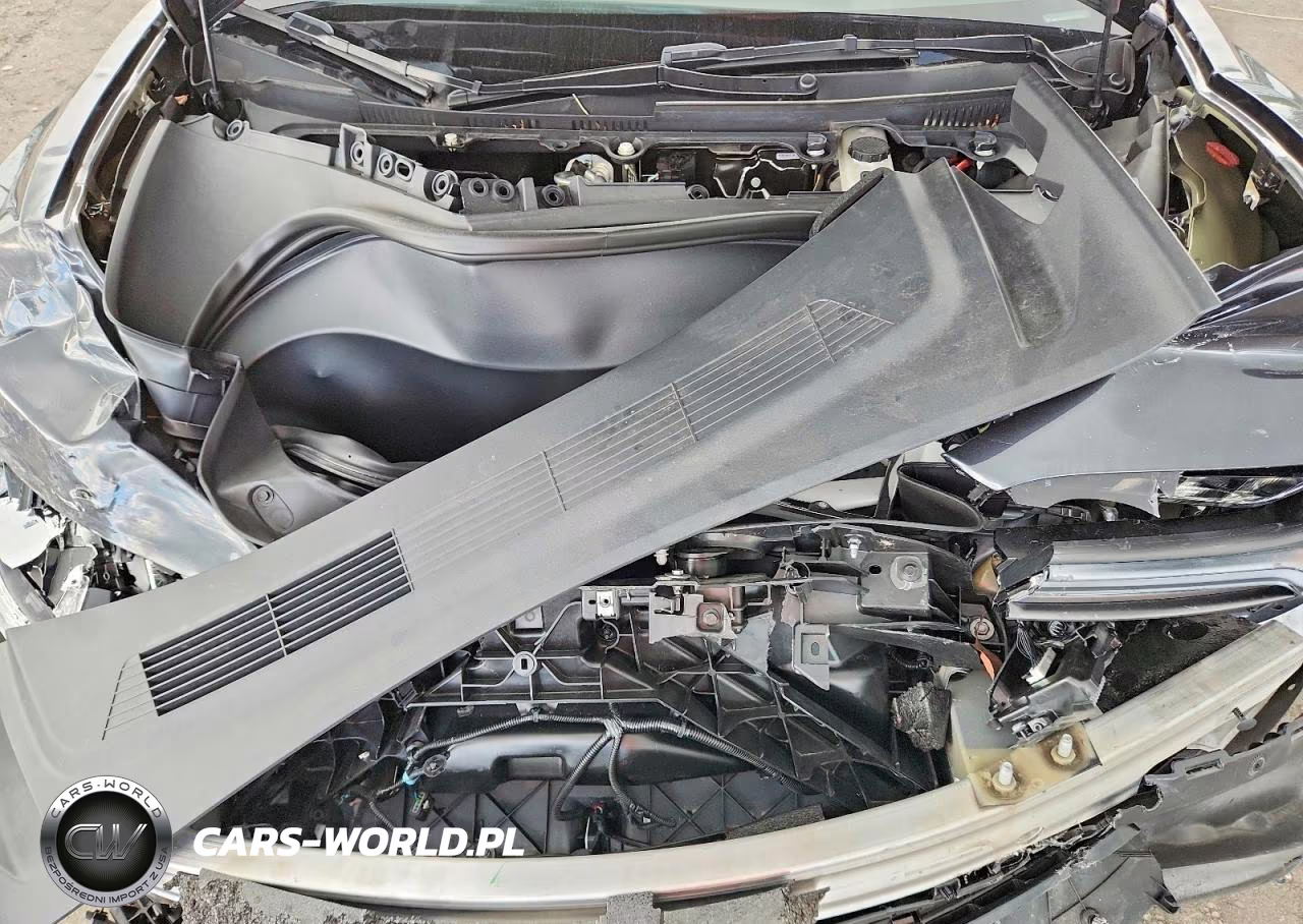 2025 Tesla Model 3 VIN:5YJ3E1EA7SF940337 - 11