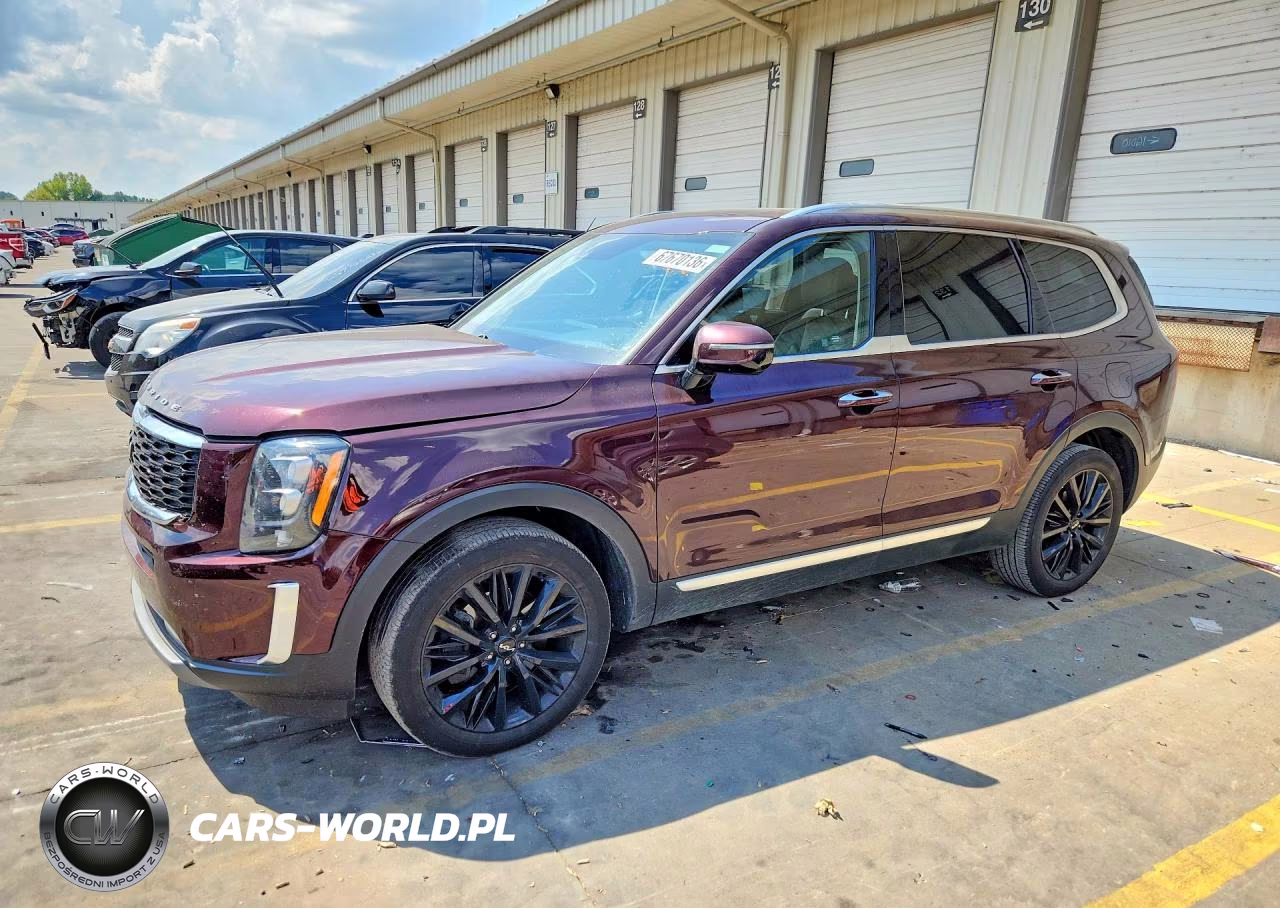 2022 Kia Telluride Sx VIN:5XYP5DHC0NG294393 - 1