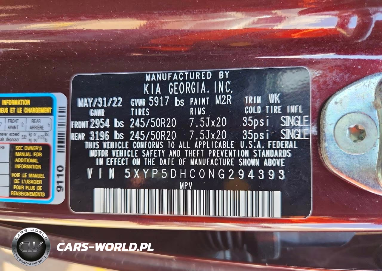 2022 Kia Telluride Sx VIN:5XYP5DHC0NG294393 - 13