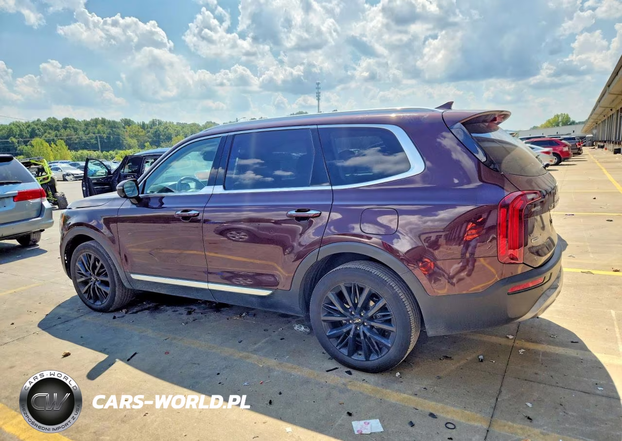 2022 Kia Telluride Sx VIN:5XYP5DHC0NG294393 - 2