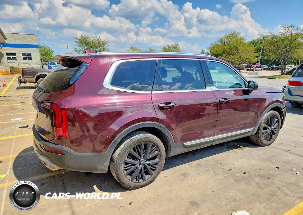 2022 Kia Telluride Sx VIN:5XYP5DHC0NG294393 - 3