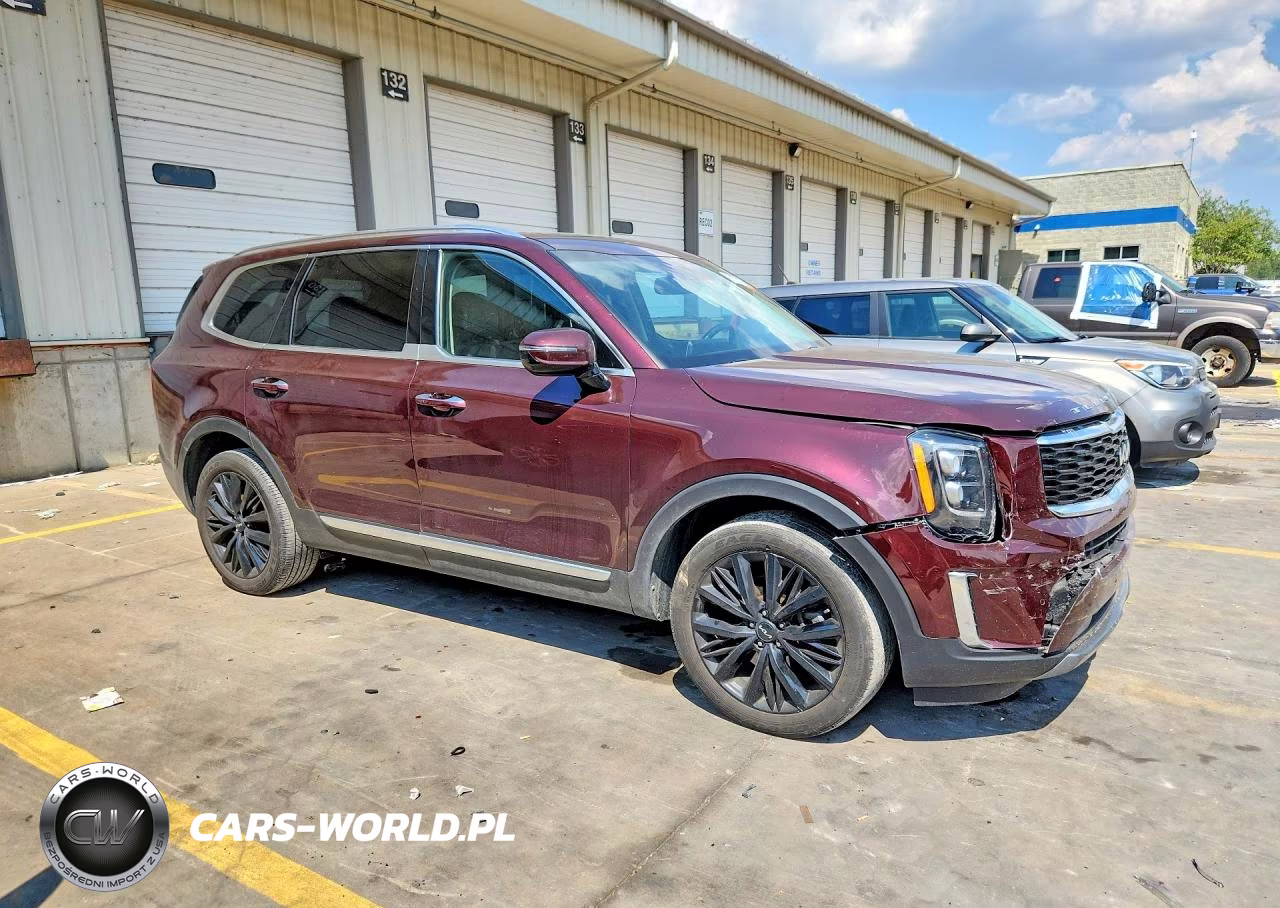 2022 Kia Telluride Sx VIN:5XYP5DHC0NG294393 - 4