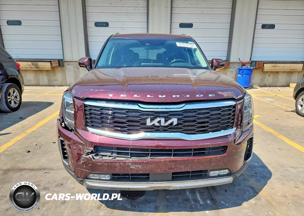 2022 Kia Telluride Sx VIN:5XYP5DHC0NG294393 - 5