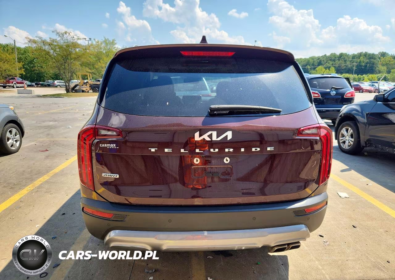 2022 Kia Telluride Sx VIN:5XYP5DHC0NG294393 - 6