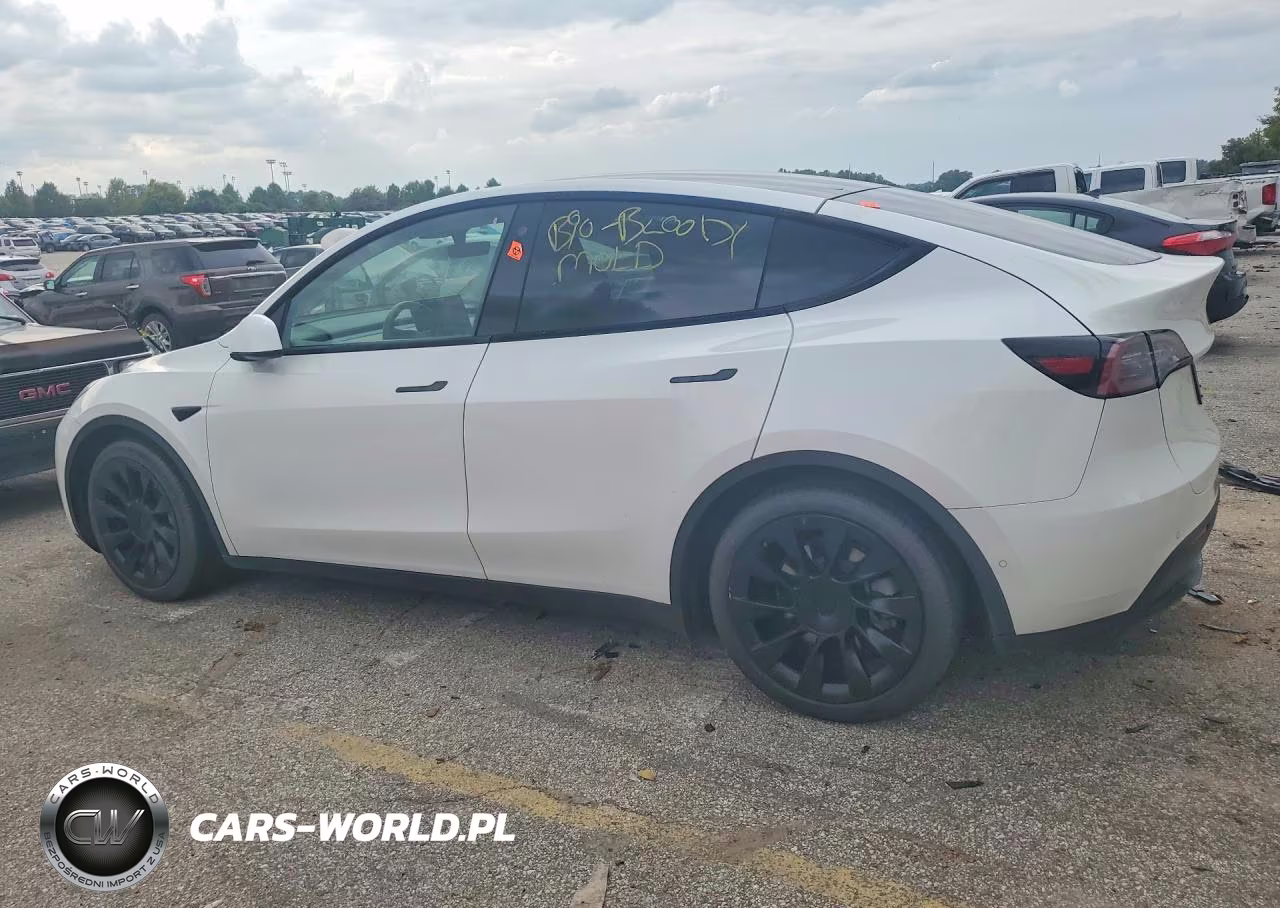 2021 Tesla Model Y VIN:5YJYGAEEXMF207589 - 2
