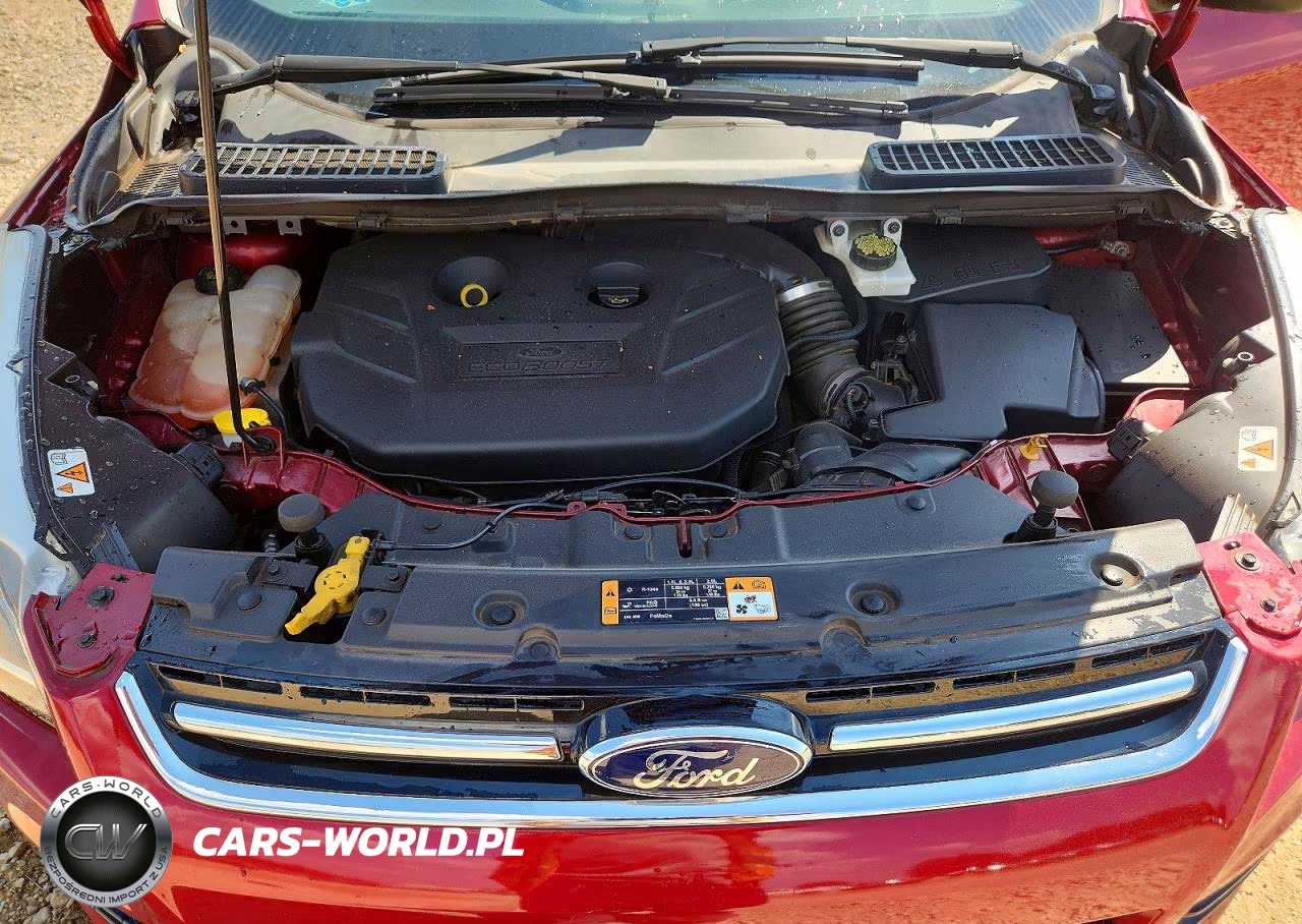 2016 Ford Escape Titanium VIN:1FMCU0J9XGUB43891 - 12