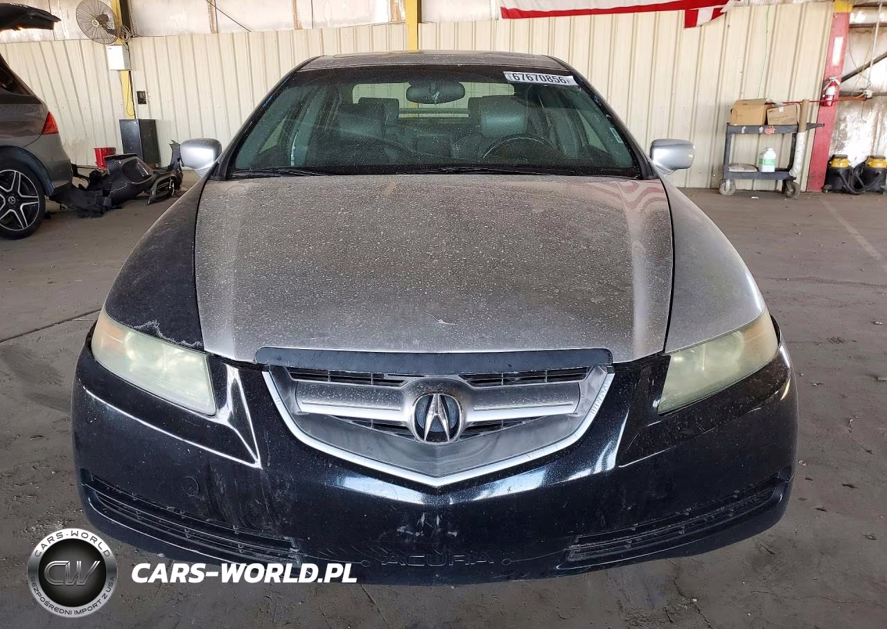 2006 Acura 3.2Tl VIN:19UUA66246A006253 - 5