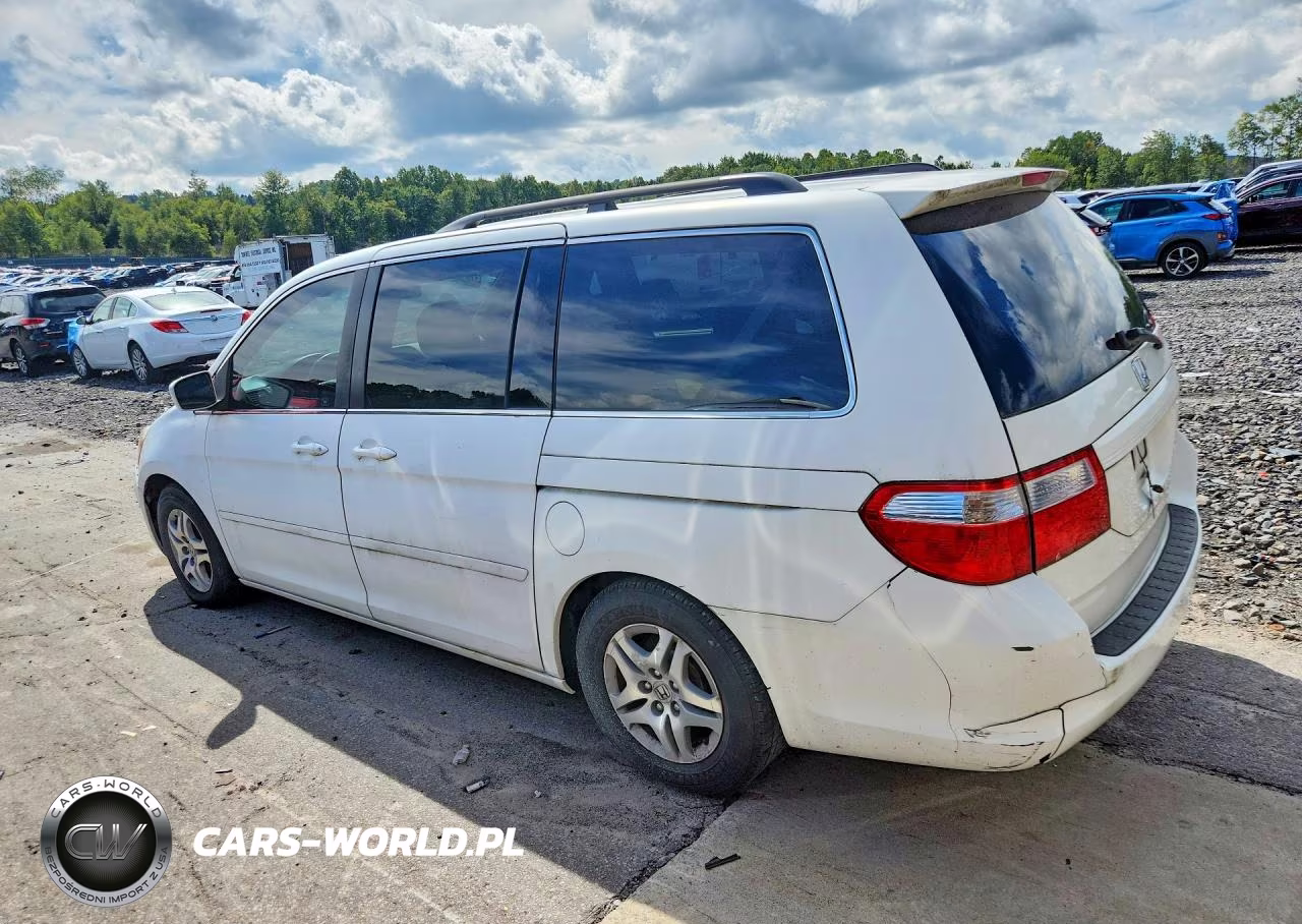 2006 Honda Odyssey Exl VIN:5FNRL38616B428534 - 2