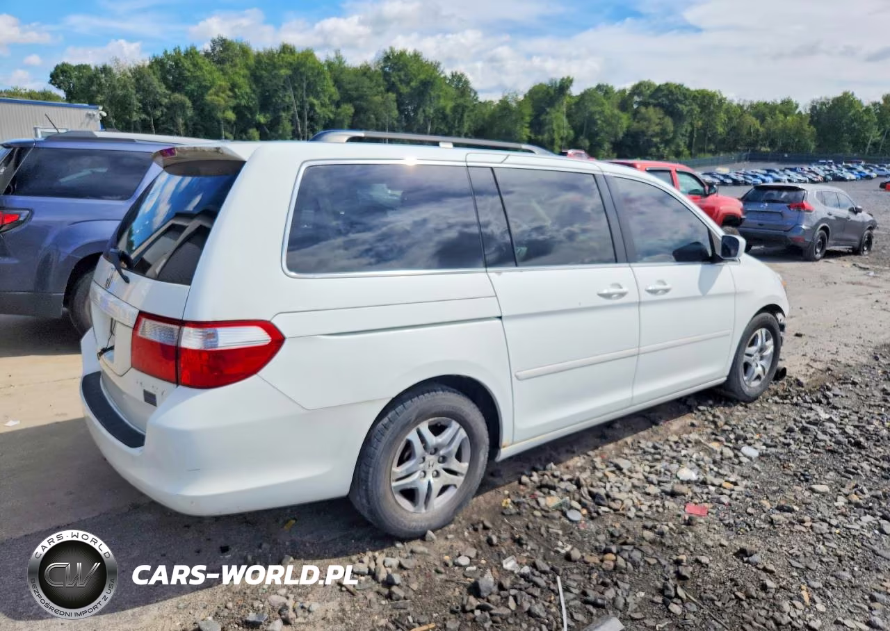 2006 Honda Odyssey Exl VIN:5FNRL38616B428534 - 3