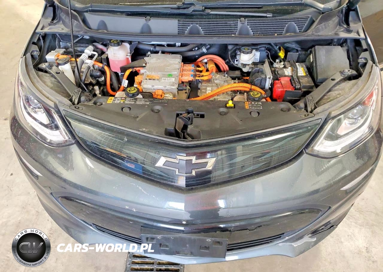 2019 Chevrolet Bolt Ev Premier VIN:1G1FZ6S09K4107259 - 11