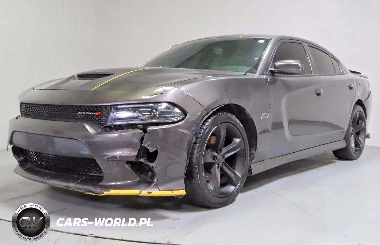 2019 Dodge Charger R-T VIN:2C3CDXCT9KH738009 - 2