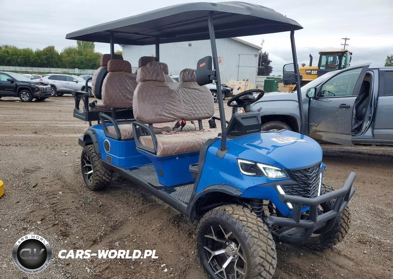 2026 Golf Cart Golf Cart – zdjęcie 1 z 10