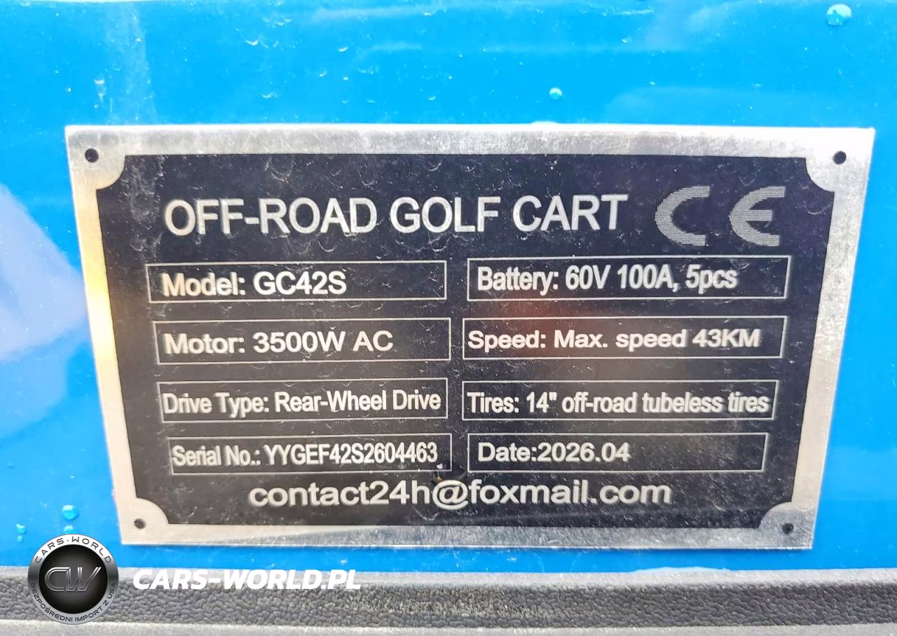 2026 Golf Cart Golf Cart VIN:H0916F2B6TASHT712 - 10