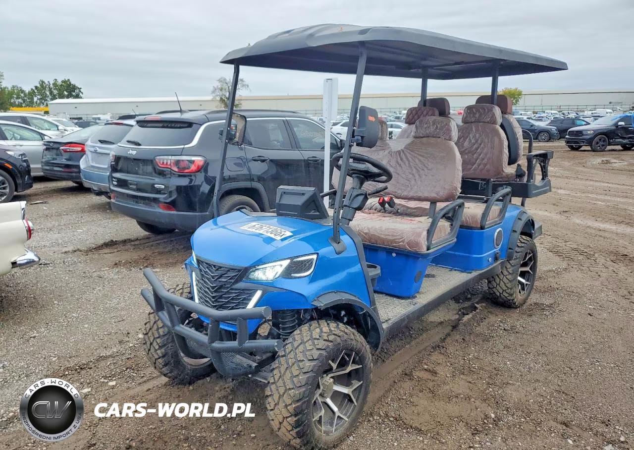 2026 Golf Cart Golf Cart VIN:H0916F2B6TASHT712 - 2