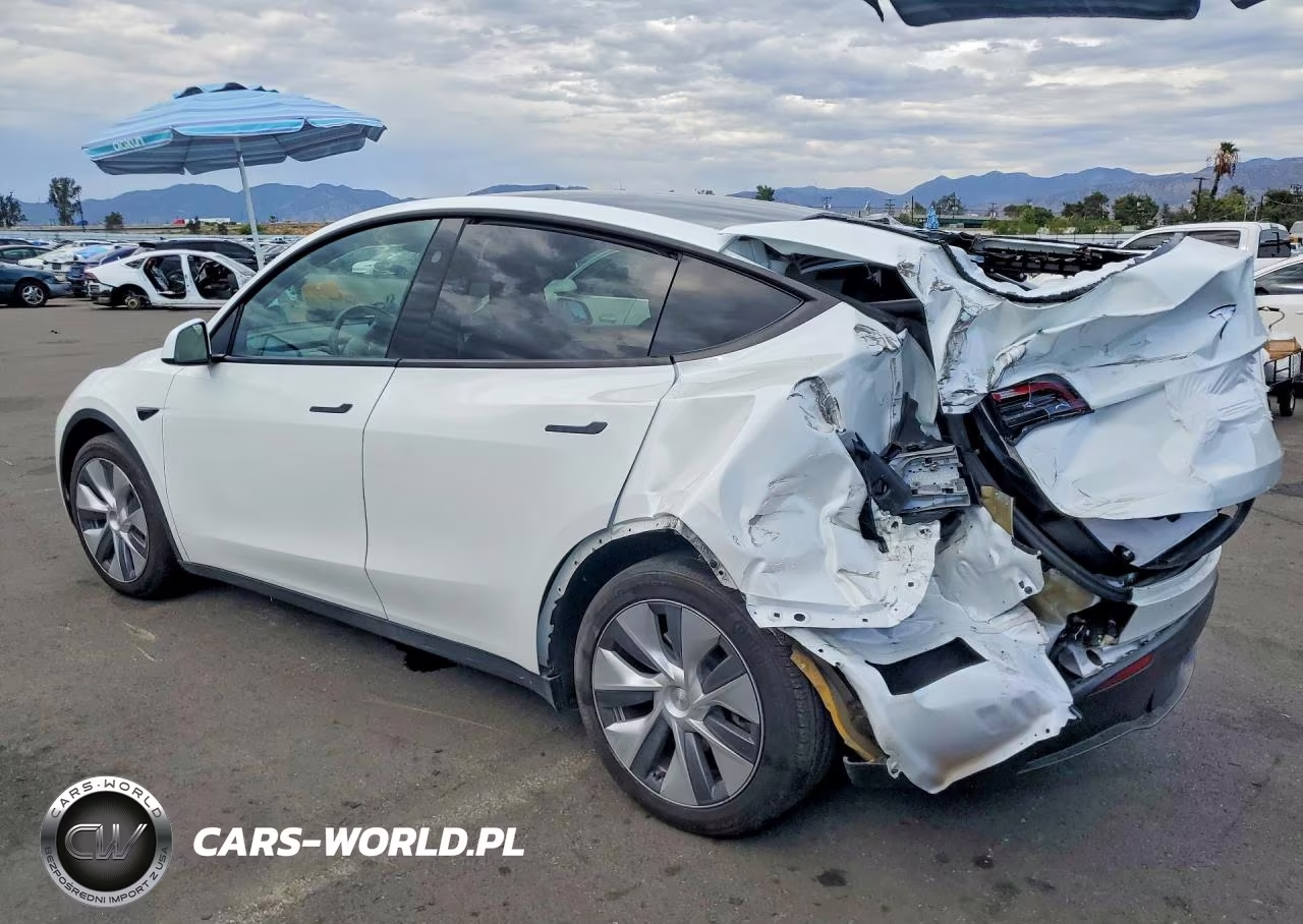 2024 Tesla Model Y VIN:7SAYGAEE5RF046188 - 2