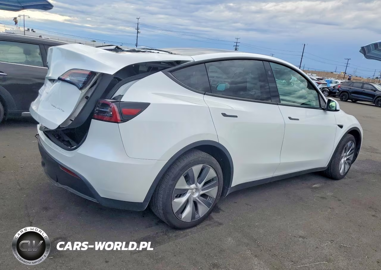 2024 Tesla Model Y VIN:7SAYGAEE5RF046188 - 3