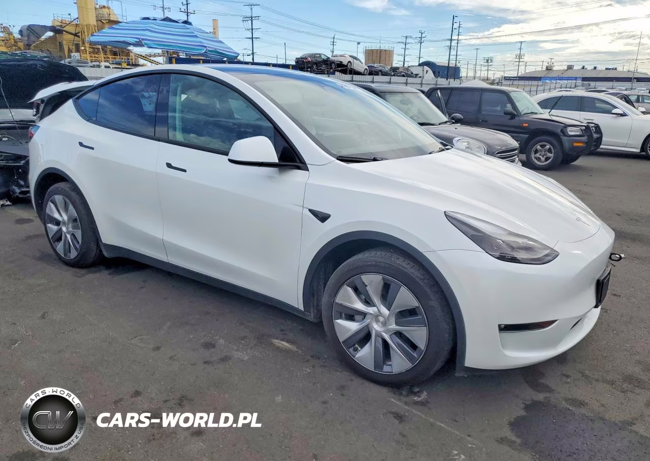 2024 Tesla Model Y VIN:7SAYGAEE5RF046188 - 4