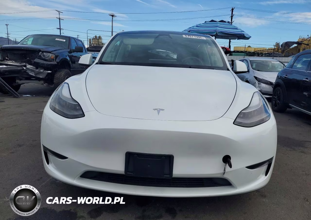 2024 Tesla Model Y VIN:7SAYGAEE5RF046188 - 5