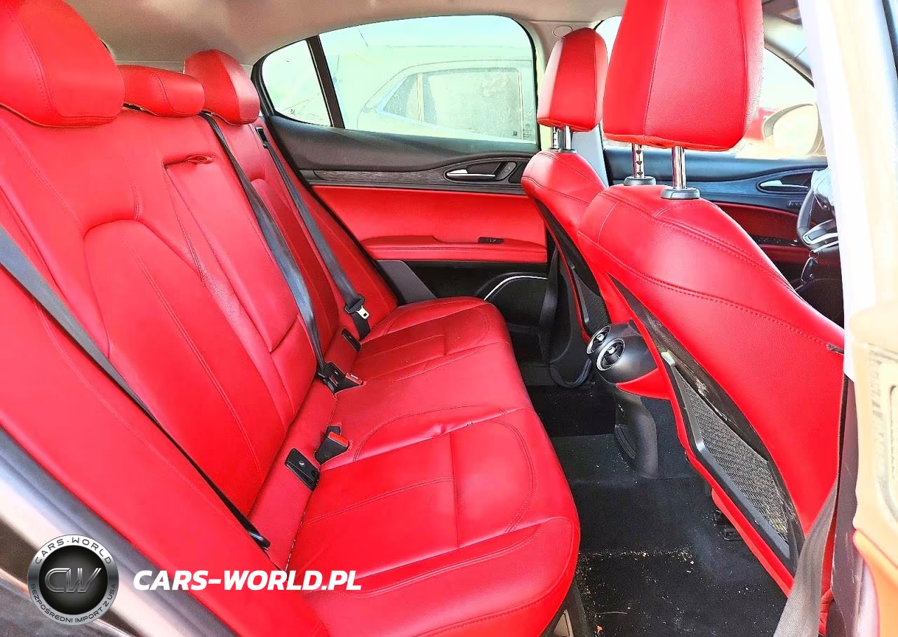 2020 Alfa Romeo Stelvio VIN:ZASPAKAN3L7C98368 - 10