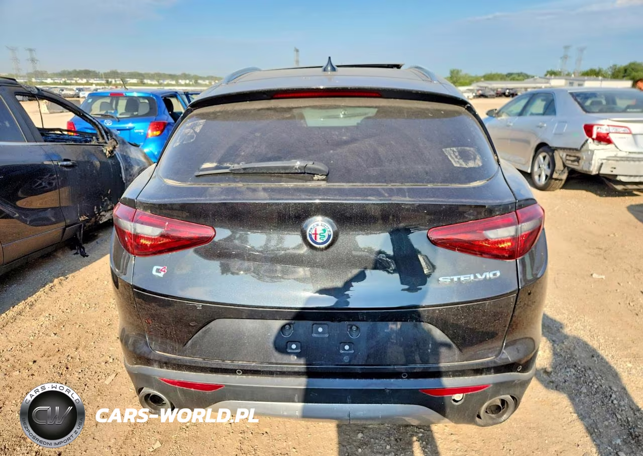 2020 Alfa Romeo Stelvio VIN:ZASPAKAN3L7C98368 - 6