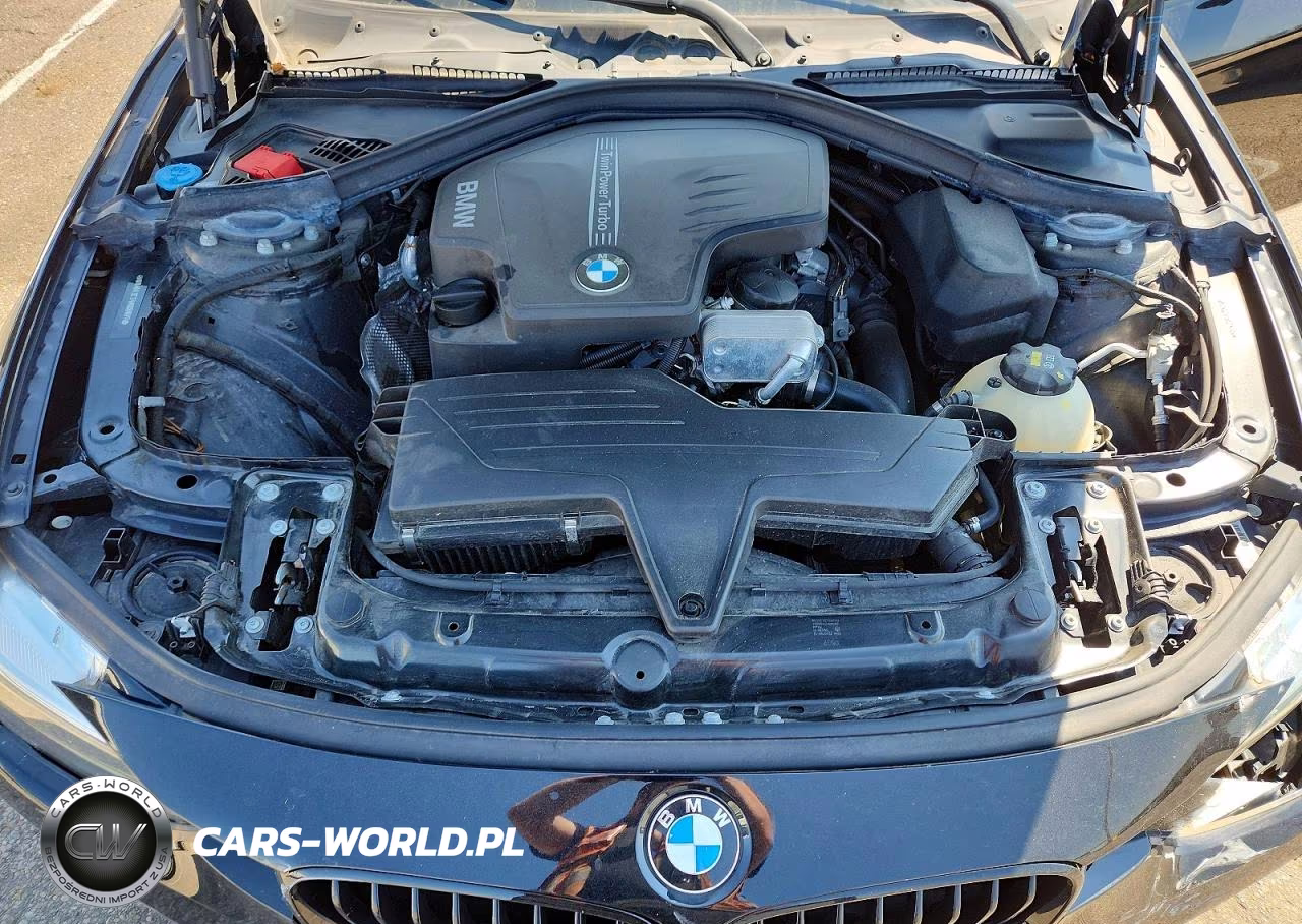 2017 BMW 320 Xi VIN:WBA8A3C37HK692827 - 11