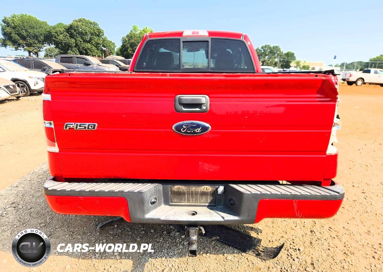 2009 Ford F150 VIN:1FTRF12W79KB43641 - 10