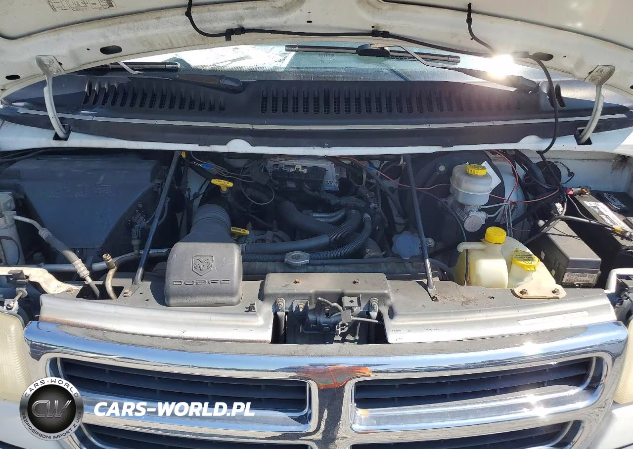 2001 Dodge Ram Van B2500 VIN:2B7JB21Y51K519463 - 12