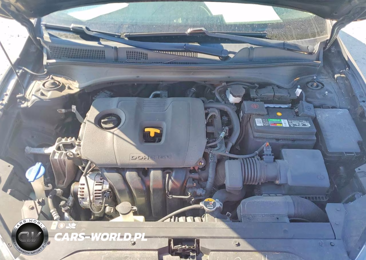 2019 Kia Forte Fe VIN:3KPF24ADXKE031506 - 12