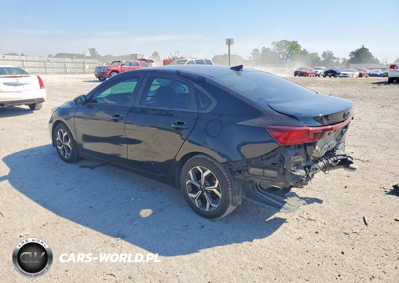 2019 Kia Forte Fe VIN:3KPF24ADXKE031506 - 2