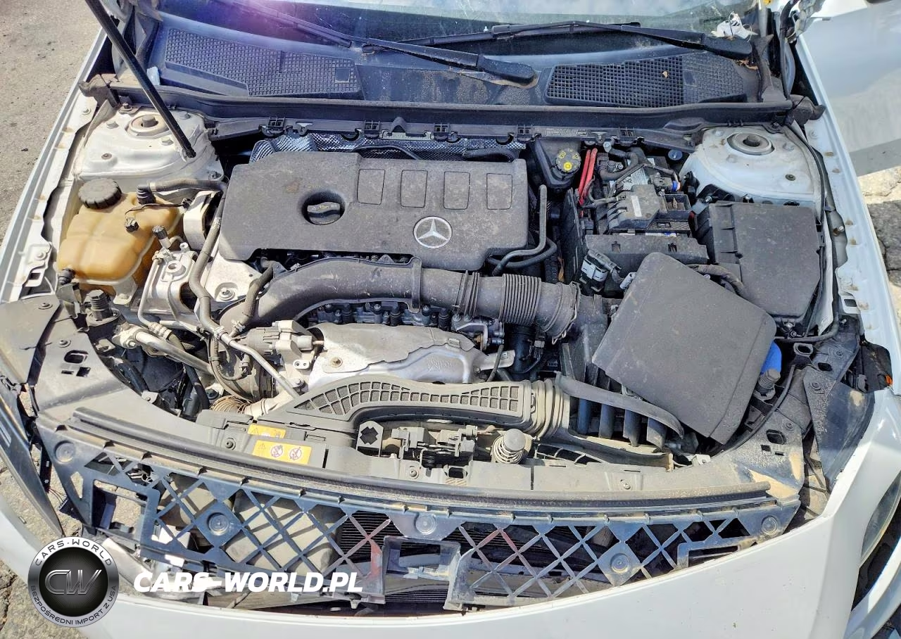 2020 Mercedes-Benz A 220 VIN:WDD3G4EB3LW038453 - 11