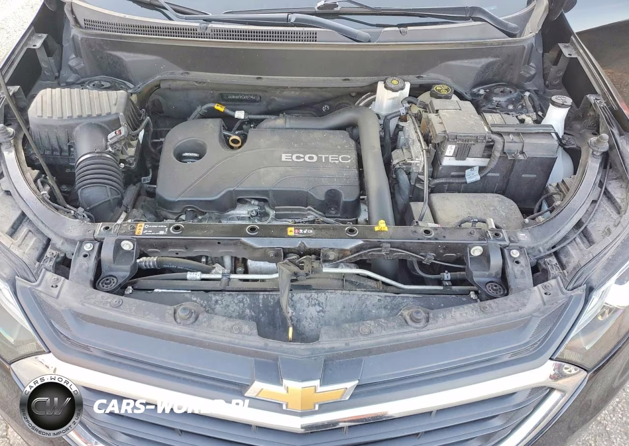2020 Chevrolet Equinox Lt VIN:2GNAXKEV1L6101146 - 12