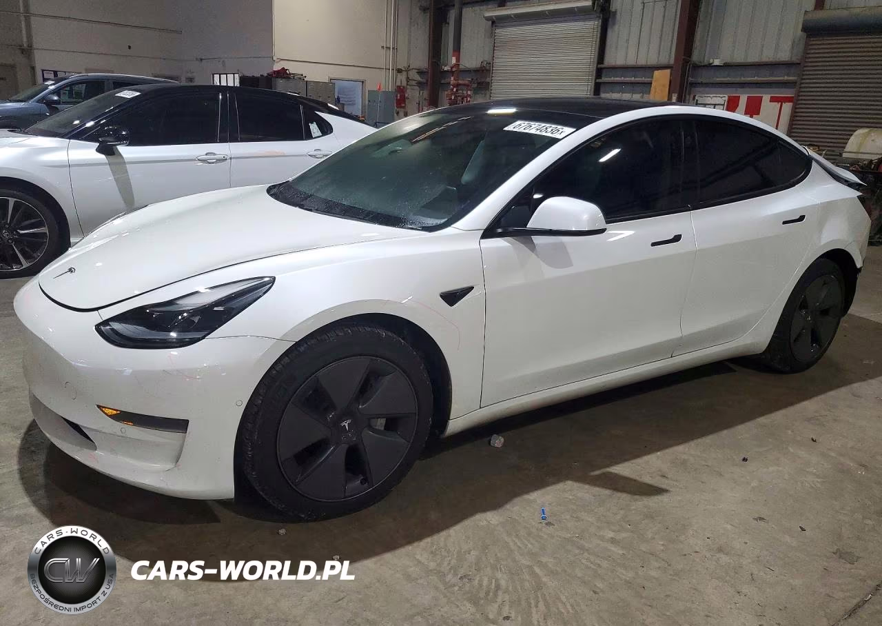 2021 Tesla Model 3