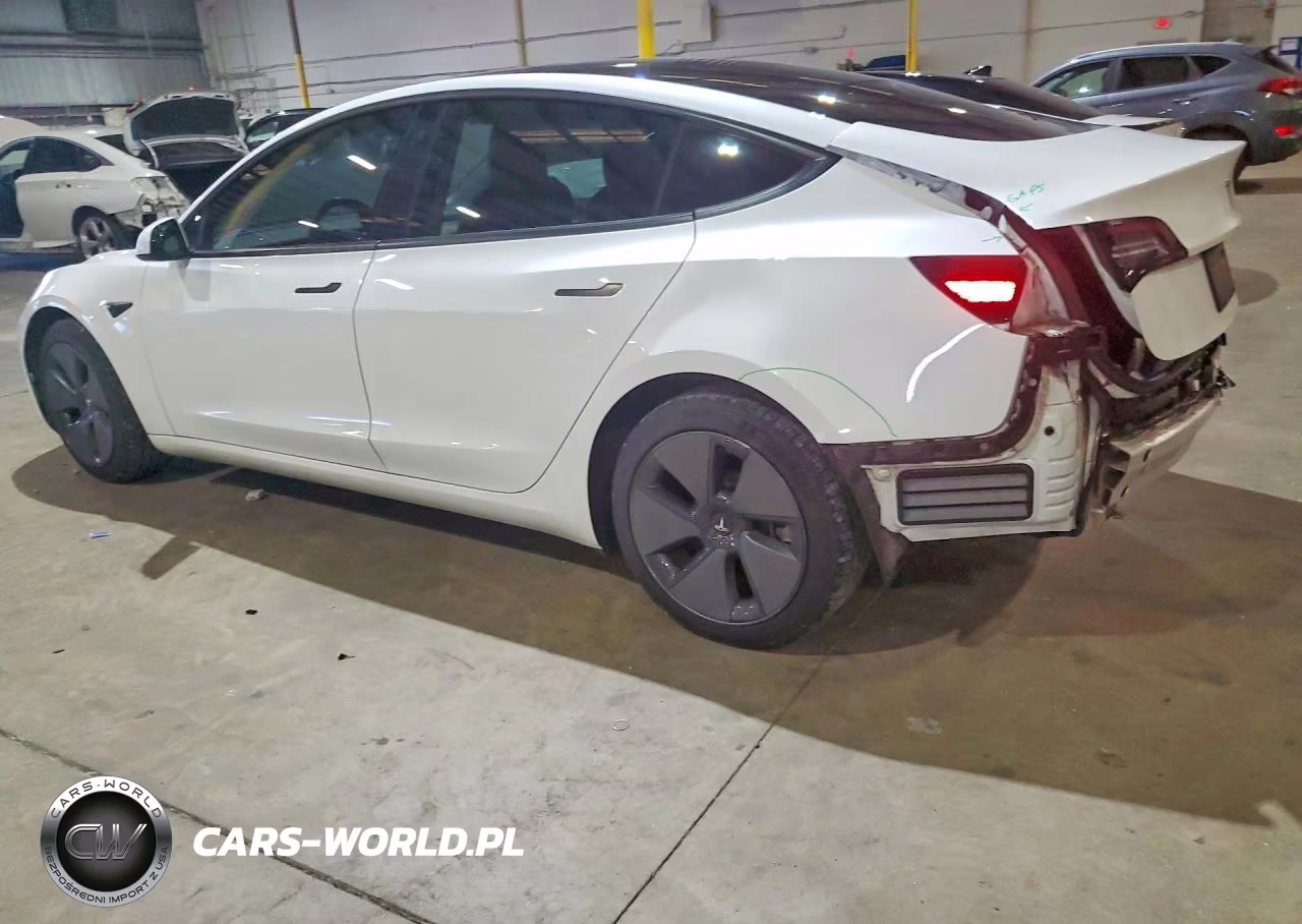 2021 Tesla Model 3 VIN:5YJ3E1EA3MF985469 - 2