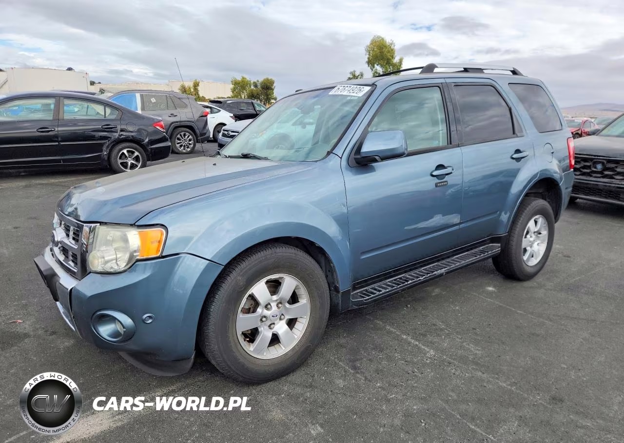 2010 Ford Escape Hybrid