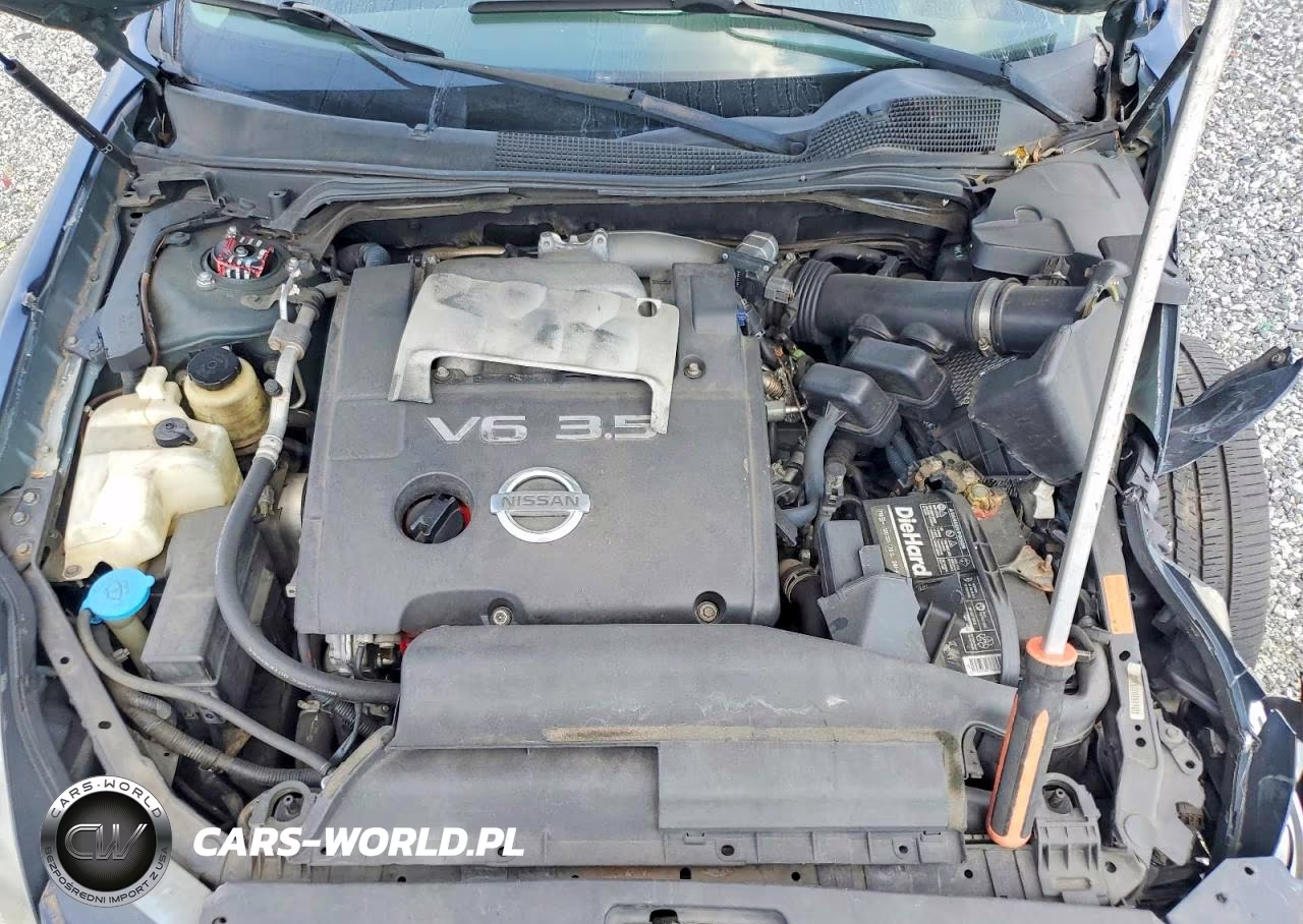 2006 Nissan Maxima 3.5 Se VIN:1N4BA41E86C854318 - 11