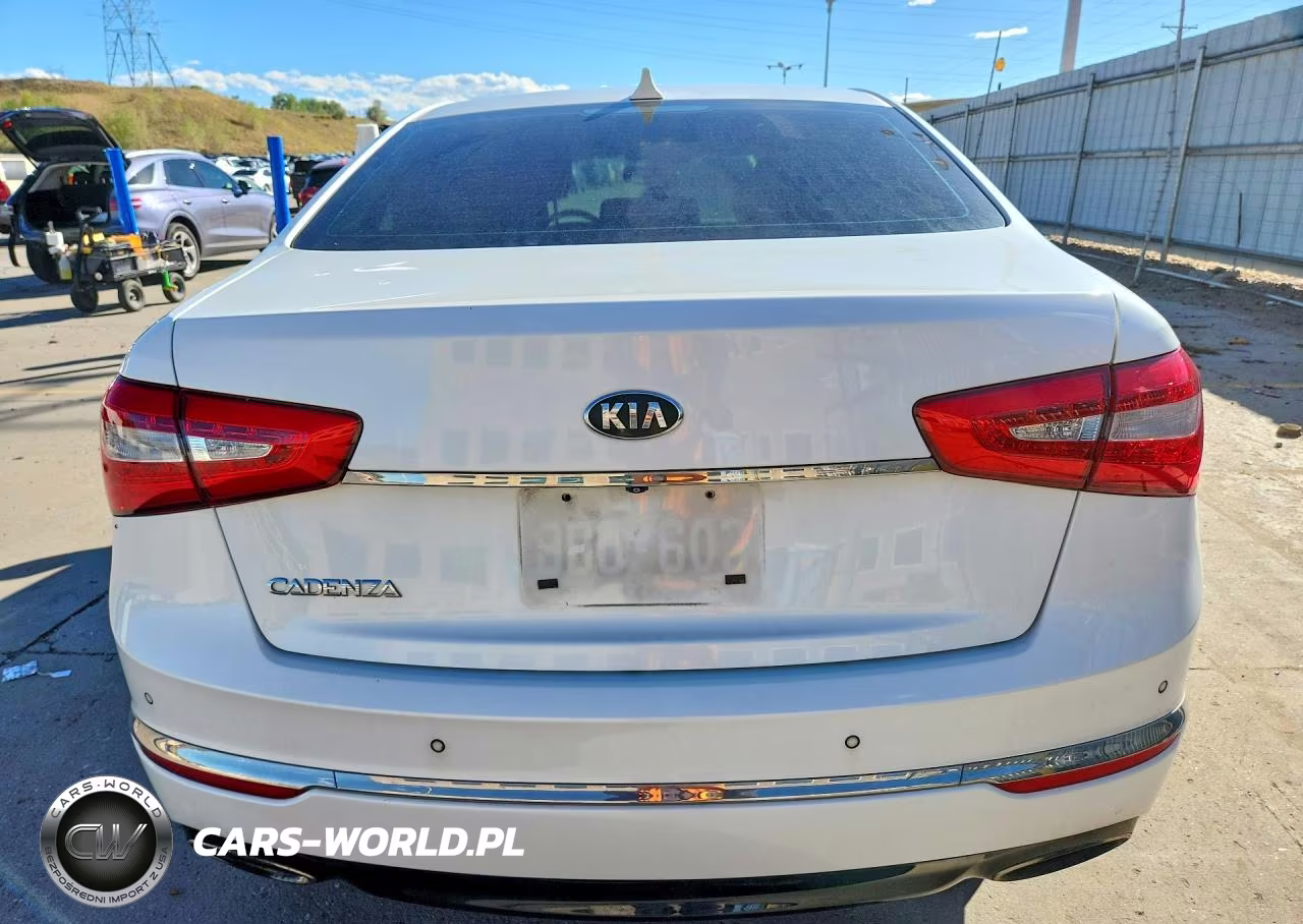 2014 Kia Cadenza Premium VIN:KNALN4D74E5129458 - 6