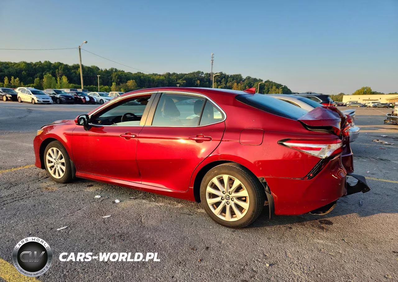 2020 Toyota Camry Le VIN:4T1C11AK0LU941862 - 2